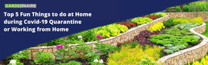 Top 5 Fun Things to do at Home during Covid-19 Quarantine or Working from Home