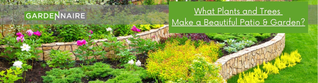 What Plants and Trees Make a Beautiful Patio & Garden?