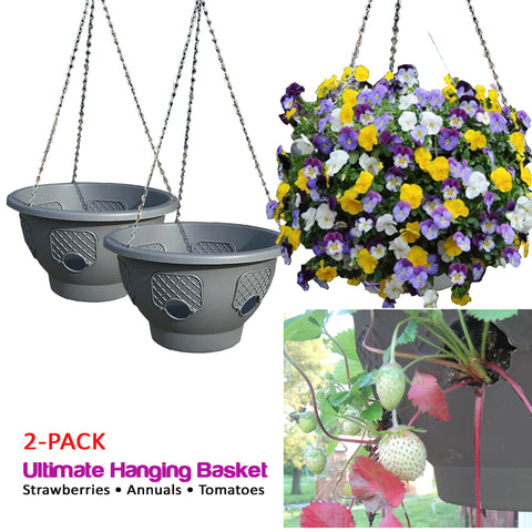 Smart Spring Ultimate Hanging Basket - 2-Pack - Gardennaire