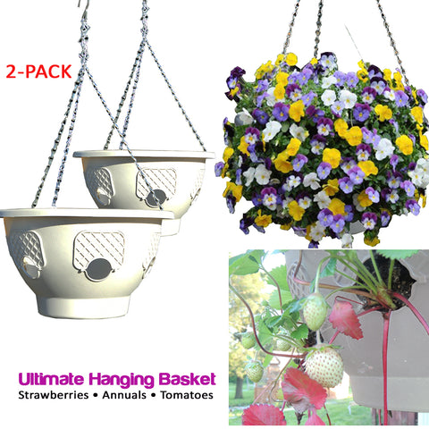 Smart Spring Ultimate Hanging Basket - 2-Pack - Gardennaire
